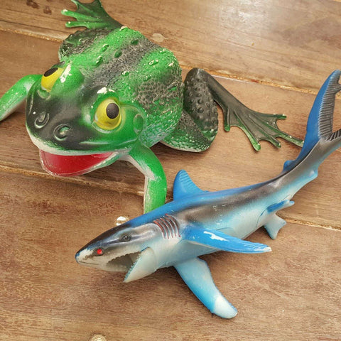 Frog and shark