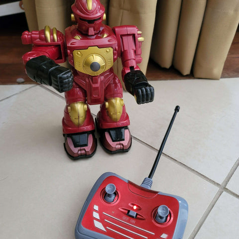 Remote controlled robot