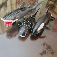 3 Whales/ /sharks 10 inches - Toy Chest Pakistan