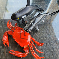 sealife - Toy Chest Pakistan