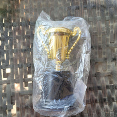 Small plastic trophy - Toy Chest Pakistan