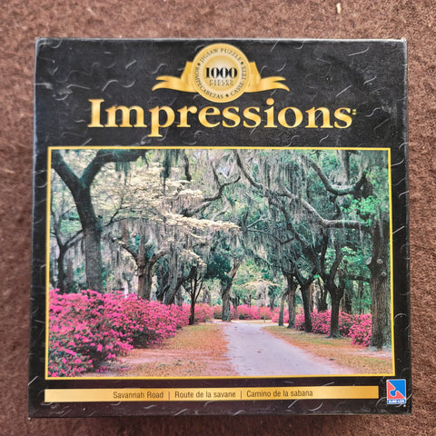 1000 pc puzzle, impressions