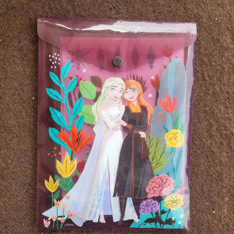 Frozen folder with art supplies