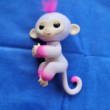 Fingerling Monkey