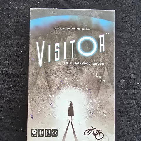 The Visitor