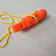 Whistle and Compass Set - Toy Chest Pakistan