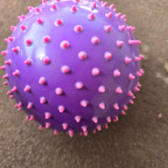 Sensory Ball – Purple Textured Ball - Toy Chest Pakistan