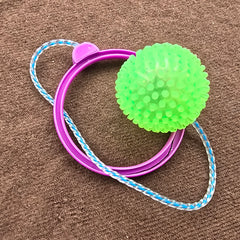 Skip Ball set