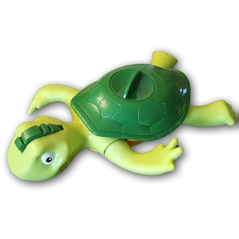 wind up turtle