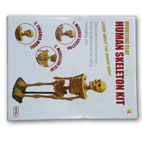Modelling Clay Human Skeleton Kit