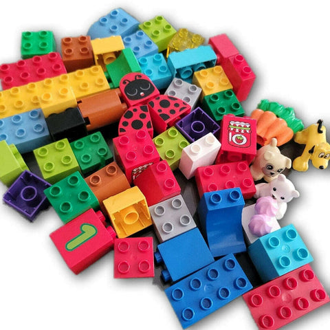 Lego Duplo 50pc set