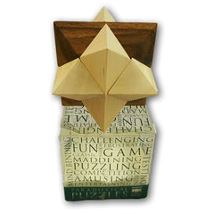 Paradoxical Puzzle - Toy Chest Pakistan