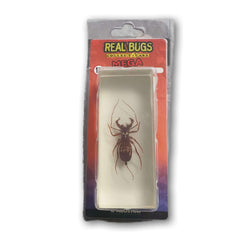 Real Bugs Collectors Item - Toy Chest Pakistan