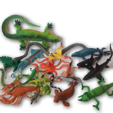 Assorted Sea Creatures And Reptiles