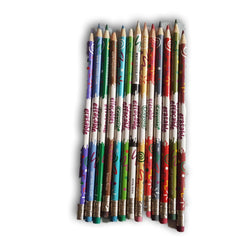 Crayola Erasable Colour pencils - Toy Chest Pakistan