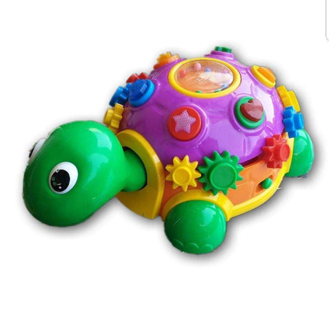 Activity Turtle