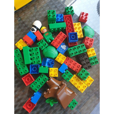 Lego duplo Set of 50 blocks (with panda)