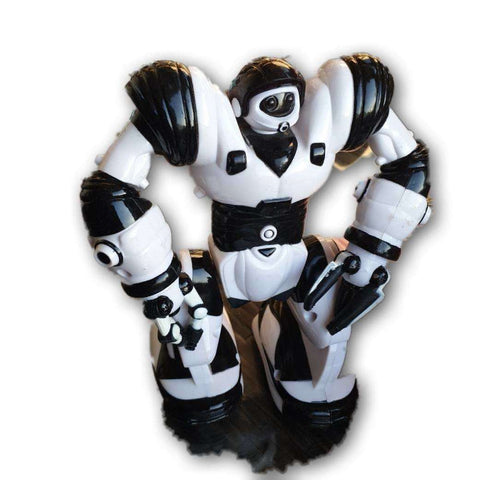 Robot, sound and movement