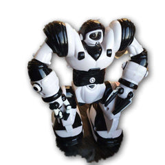 Robot, sound and movement - Toy Chest Pakistan