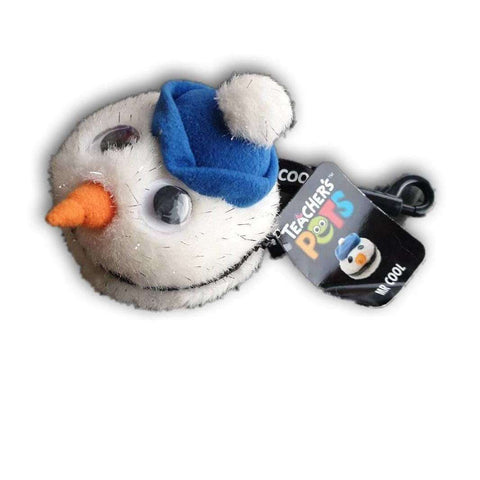 Teachers Pet, Mr Cool