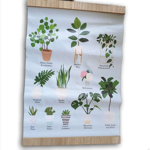 Plant wall hanging