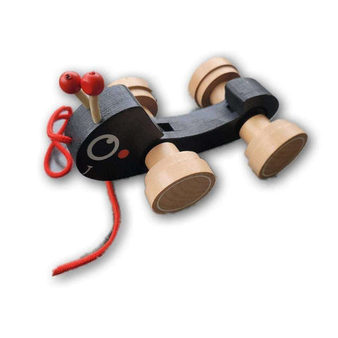 Pull Along Wooden Bug