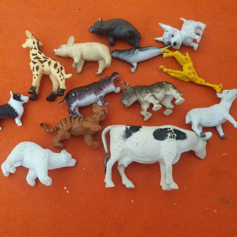 small assorted animals