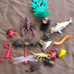 underwater and insects - Toy Chest Pakistan